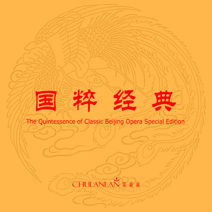 亚洲色婷婷综合久久久久中文
