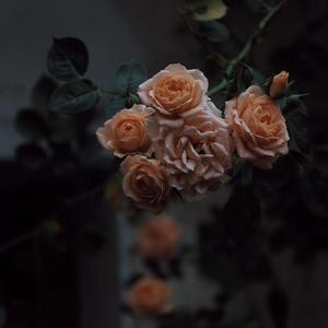 亚洲色婷婷综合久久久久中文
